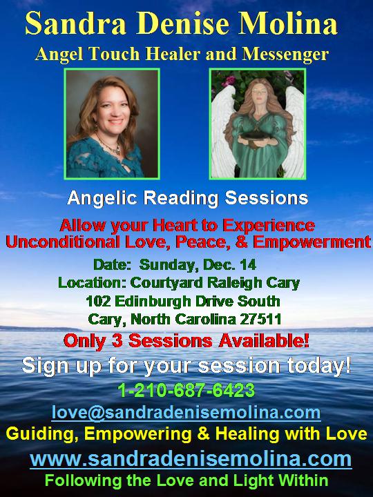 Raleigh flyer english spanish 2